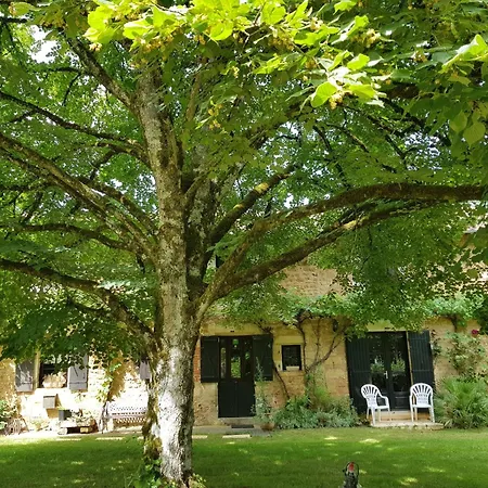 Spacious With Private Heated Pool In A Rustic Garden Holiday home *
